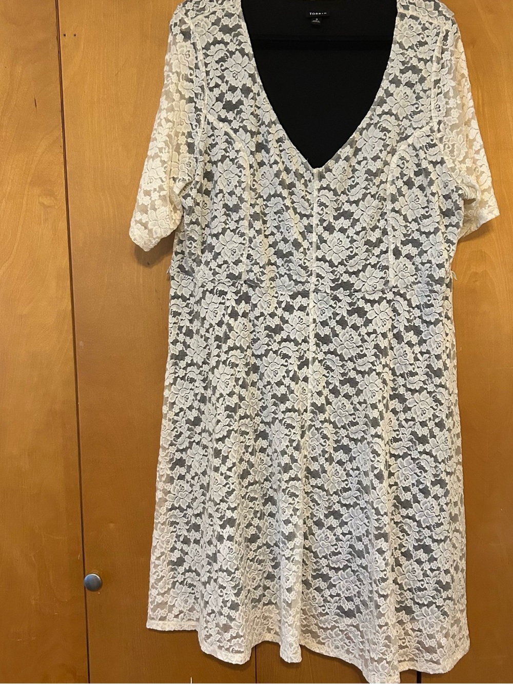 Women's Lace Overlay Dress - Cream